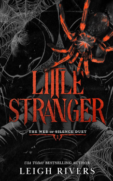 Book Cover for Little Stranger by Leigh Rivers